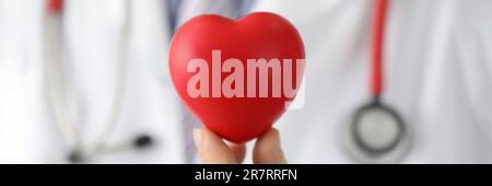 Cardiologue tenant le cœur rouge jouet gros plan Banque D'Images