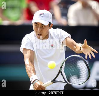 ROSMALEN - Rinky Hijikata (AUS) en action contre Jordan Thompson (AUS) pendant les demi-finales du tournoi de tennis Libema Open à Rosmalen. AP SANDER KING Banque D'Images