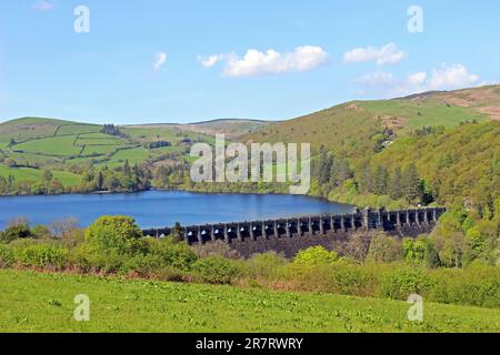 Lake Vyrnwy réserve RSPB, Powys, Wales, UK Banque D'Images