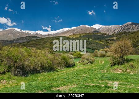 Sommets du Mont Olympe, vue du sud, près du village de Karia (Karya), région thessalie, Grèce Banque D'Images