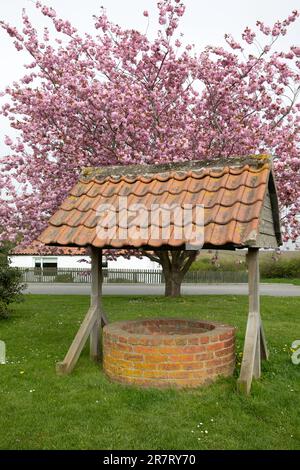 Adderstone, Royaume-Uni - 6 mai 2023: Traditionnel, ancienne brique de souhaiter bien avec le toit carrelé et cerisier en fleur. Banque D'Images