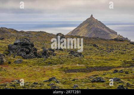 Snaefellsbaer, Vesturland, Islande Banque D'Images