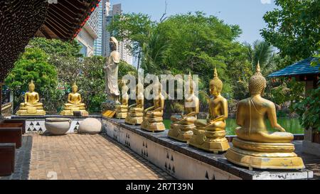 Statues de Bouddha d'or au temple bouddhiste Seema Malaka surplombant le lac Beira à Colombo, Sri Lanka Banque D'Images