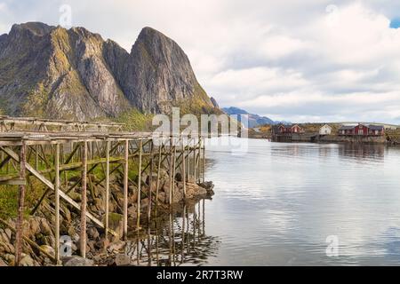 Séchoirs pour poissons et huttes rouges traditionnelles de rorbuer dans le village de pêcheurs de Reine, îles Lofoten, Norvège Banque D'Images