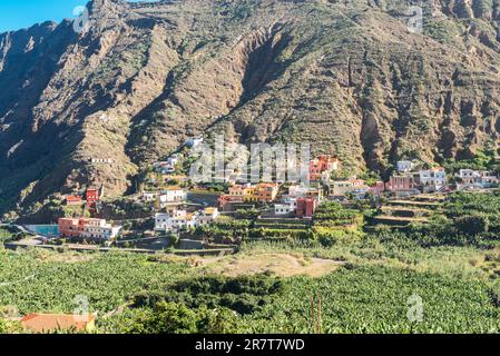 Plantations de bananes dans le village Hermigua sur la Gomera. Le petit village vit du tourisme et de l'agriculture Banque D'Images