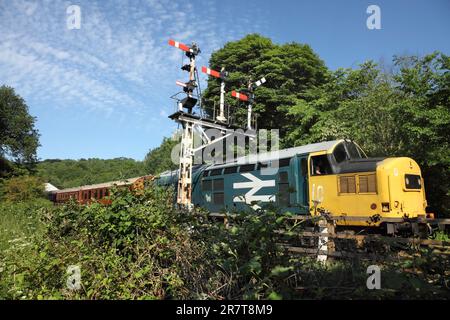 La locomotive diesel de classe 37 conservée 37264 quitte la gare de Grosmont sur le chemin de fer North Yorkshire Moors. Banque D'Images