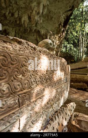 La spectaculaire tombe de la grotte de Lombok Parinding qui abrite les morts de Tana Toraja depuis 700 ans. Le tombeau est célèbre pour son ancienne, ornée Banque D'Images