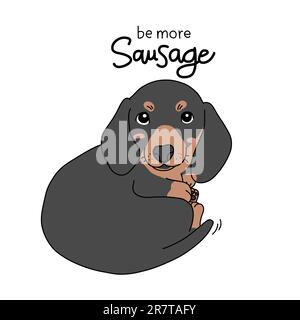 Dachshund chien être plus saucisse dessin animé illustration vectorielle Illustration de Vecteur