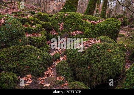 Formations rocheuses dans Devil's Canyon, Allemagne Banque D'Images