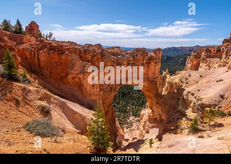 Arche de roche au point de vue de Natural Bridge, parc national de Bryce Canyon, Utah, États-Unis Banque D'Images