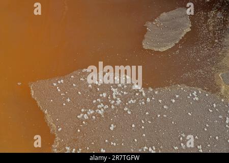 Dépôt de sel dans l'eau brune à la solution saline, détail, nature, sol, sel, cristaux de sel, pierres de sel, croûte de sel, sel de mer, eau salée, marron, salé, rivage Banque D'Images