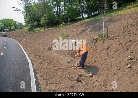 Washington, DC, Un travailleur termine l'aménagement paysager le long d'une nouvelle section du Metropolitan Branch Trail, un sentier de randonnée cycliste qui part de Union Banque D'Images