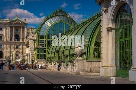 Palm House, Vienne, Autriche Banque D'Images