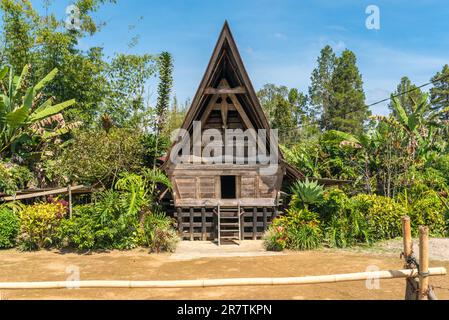 La maison traditionnelle de Batak, en indonésien, appelée Rumah Bolon ou Jabu, sont notées pour leurs toits distinctifs qui courbe vers le haut à chaque extrémité, comme un bateau Banque D'Images