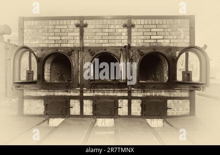 Incinérateur de crématorium, ancien camp de concentration forêt de hêtres, aujourd'hui mémorial, noir et blanc, vintage, Weimar, Thuringe, Allemagne Banque D'Images