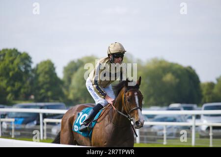 Jockey Tom Eaves sur Harlem Nights à l'hippodrome de York. Banque D'Images