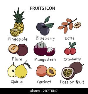 Ensemble d'illustrations vectorielles icône fruits 4 Illustration de Vecteur