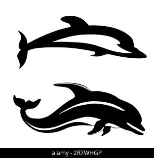 Deux dauphins sur fond blanc Illustration de Vecteur