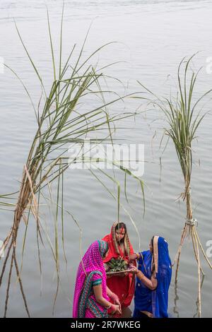 Les dévotés font des offrandes et prient dans le Gange pendant Chhath Puja à Varanasi, Inde Banque D'Images