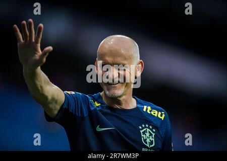 Barcelone, Espagne. 17th juin 2023. Taffarel lors d'un match international entre le Brésil et la Guinée au stade Stage Front, à Barcelone, en Espagne, sur 17 juin 2023. (Photo/Felipe Mondino) crédit: Live Media Publishing Group/Alay Live News Banque D'Images