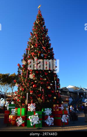 Un grand arbre de Noël, entouré de cadeaux, fait la fête à Fisherman's Wharf à San Francisco Banque D'Images