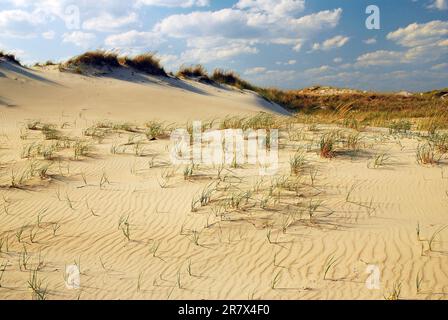 Des lignes dans le sable se forment sur les dunes herbeuses utilisées pour protéger l'écosystème fragile le long de la cabane Banque D'Images