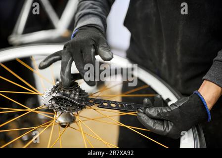 Entretien d'un vélo: Inconnu homme utilisant des gants de protection en retirant la cassette d'une roue de vélo dans son atelier de réparation. Concept: Propriétaire de petite entreprise Banque D'Images