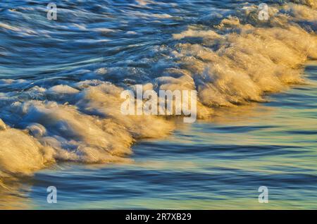 Gros plan sur une vague d'eau vive entrante Banque D'Images