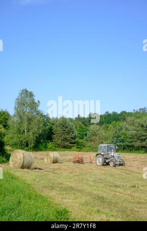 le tracteur assemble et tourne des lignes d'herbe coupée dans le champ, prêt pour la mise en balles du comté de zala en hongrie Banque D'Images