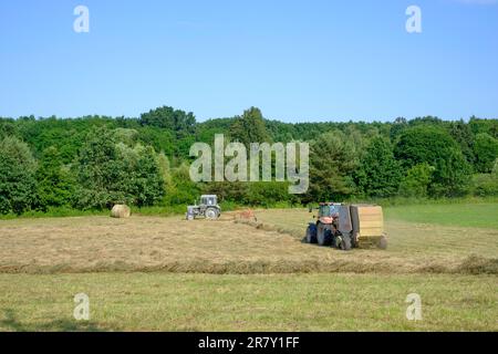 les tracteurs assemblent et retournent des lignes d'herbe coupée, puis se sont mis en balles dans le comté de zala en hongrie Banque D'Images