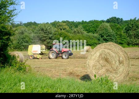 les lignes de mise en balles de tracteurs d'herbe coupée en mosaïque dans le comté de zala en hongrie Banque D'Images