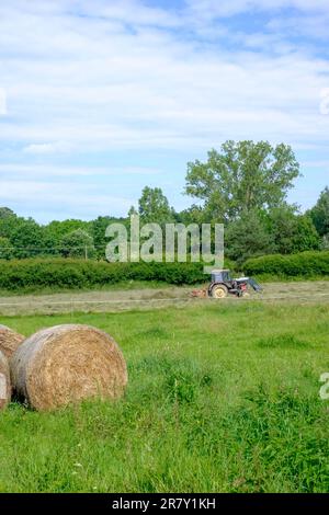 le tracteur assemble et tourne des lignes d'herbe coupée dans le champ, prêt pour la mise en balles du comté de zala en hongrie Banque D'Images