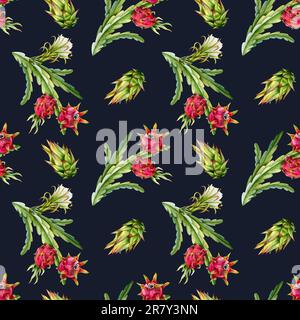 Aquarelle sombre pitaya branches cactus avec rouge dragon fruits fleurs sans couture motif sur bleu. Dessin botanique Banque D'Images