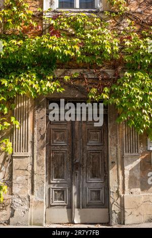 Belle vieille porte en bois recouverte de feuilles de vigne, située dans la petite ville d'Altenmark dans les Alpes Ennstales en Styrie, Autriche Banque D'Images