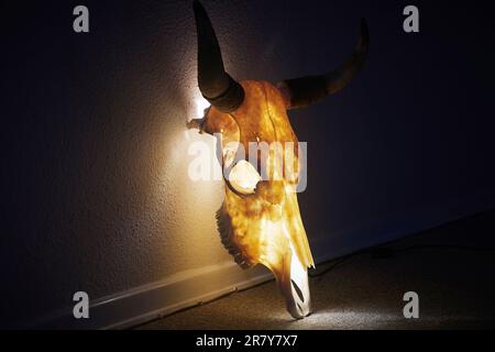 Immense crâne de taureau transformé en lampe Banque D'Images
