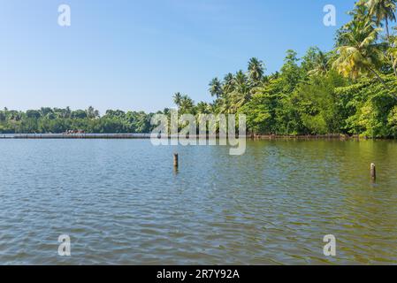 Lagon côtier nommé lac Hikkaduwa dans le nord-est de la ville. Les pêcheurs en canoë-outrigger font de la pêche sur le lac. Élevage de crevettes, pêche Banque D'Images