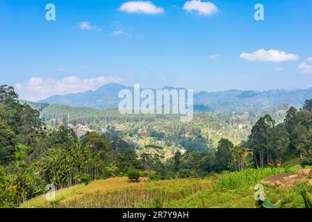 Ella est une petite ville dans les hauts plateaux du Sri Lanka. D'environ 1000m de hauteur, la ville est riche en biodiversité, entourée de forêts et de plantations de thé. Banque D'Images