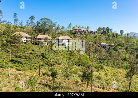 Logement dans la plantation de thé à flanc de colline près de la petite ville d'Ella dans la province d'Uva au Sri Lanka. La production de thé est sur le principal économique Banque D'Images