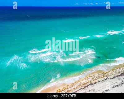 Phipps Ocean Park et ibis Isle, West Palm Beach, Floride, États-Unis Banque D'Images
