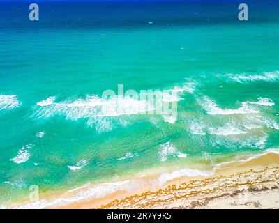 Phipps Ocean Park et ibis Isle, West Palm Beach, Floride, États-Unis Banque D'Images