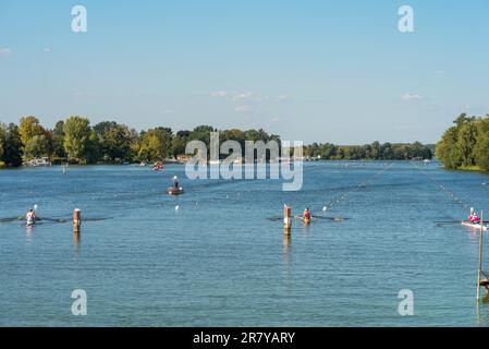 Régate d'aviron sur la Havel dans la petite ville de Werder dans l'État de Brandebourg, Allemagne Banque D'Images