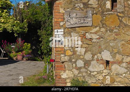 Castiglione d'Orcia, Agriturismo, Maison d'hôtes, Val d'Orcia, Vallée d'Orcia, Patrimoine mondial de l'UNESCO, Toscane Paysage, province de Sienne, Toscane Banque D'Images