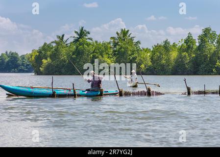 Lagon côtier nommé lac Hikkaduwa dans le nord-est de la ville. Les pêcheurs en canoë-outrigger pêchent sur le lac. Élevage de crevettes, pêche Banque D'Images