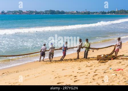 Technique de pêche répandue sur les plages de Sri Lanka. De nombreux pêcheurs tirent le filet de seine hors de la mer Banque D'Images