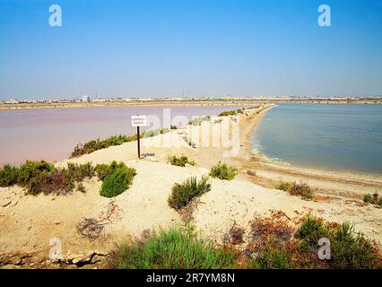 Salt works. San Pedro del Pinatar, Murcia, Espagne. Banque D'Images