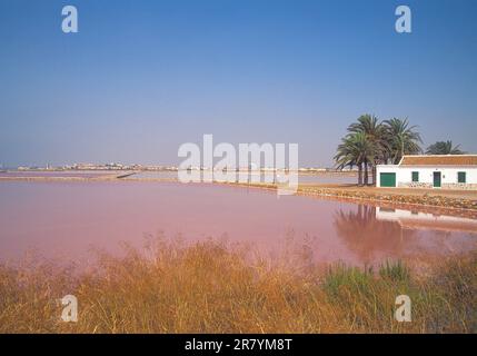 Salt works. San Pedro del Pinatar, Murcia, Espagne. Banque D'Images