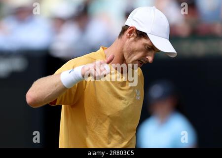 18th juin 2023; Nottingham tennis Centre, Nottingham, Angleterre: Rothesay Nottingham Open, jour 7; Andy Murray donne à son équipe les pouces pendant la finale des hommes célibataires Banque D'Images