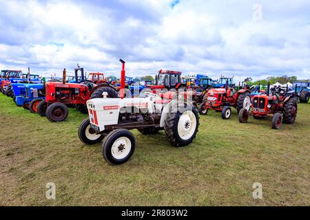 Une exposition colorée de tracteurs restaurés et conservés au rassemblement de vapeur d'Abbey Hill, Yeovil, Somerset, Angleterre, Royaume-Uni Banque D'Images