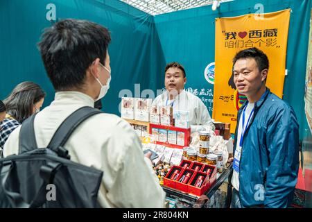 (230618) -- LHASSA, 18 juin 2023 (Xinhua) -- Un visiteur apprend sur les produits tibétains à l'exposition touristique et culturelle de Xizang en 5th à Lhassa, capitale de la région autonome du Tibet du sud-ouest de la Chine, 18 juin 2023. L'expo est l'un des événements les plus importants du calendrier culturel du Tibet. (Xinhua/Sun Fei) Banque D'Images