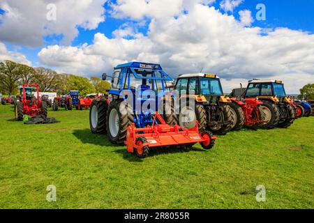 Une exposition de tracteurs conservés et restaurés au rassemblement de vapeur d'Abbey Hill, Yeovil, Somerset, Angleterre, Royaume-Uni Banque D'Images